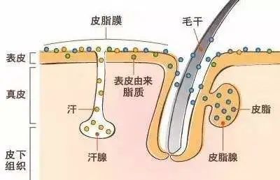 广州肤康皮肤病医院